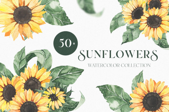 Download Watercolor Sunflowers Collection - Flower Collection